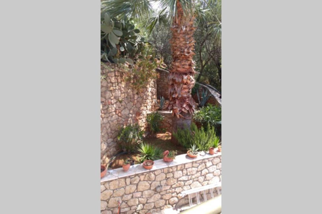 Apartment Markos 3 Stoupa